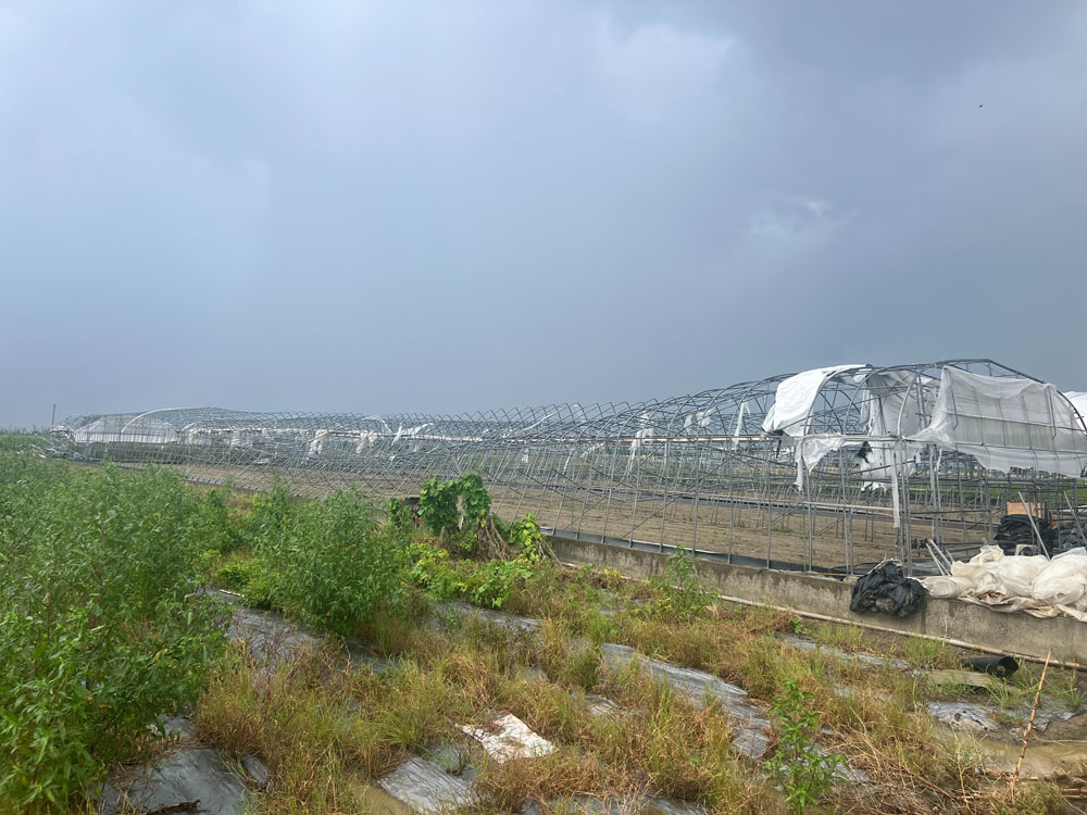 嘉義溫室拆除工程