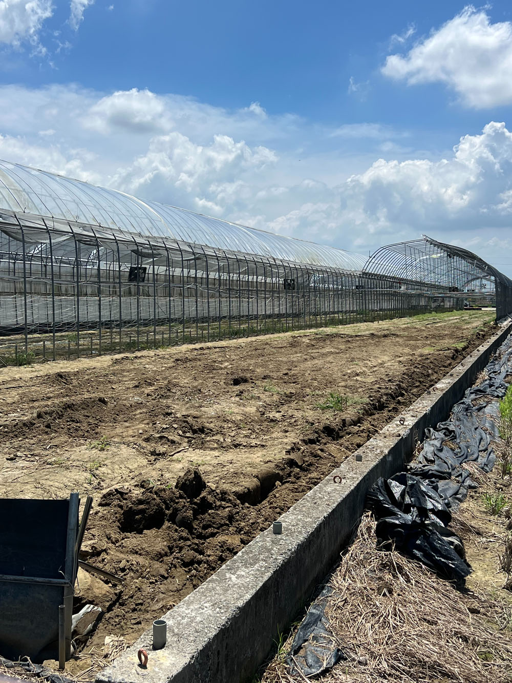 嘉義拆溫室半間