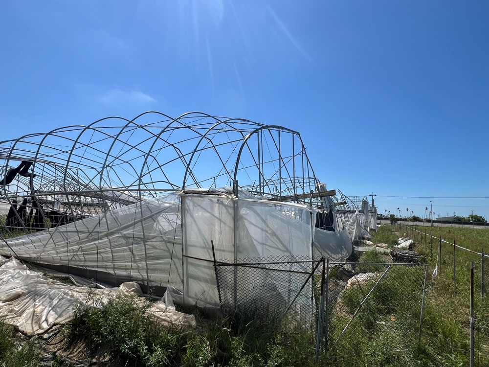 嘉義溫室拆除工程