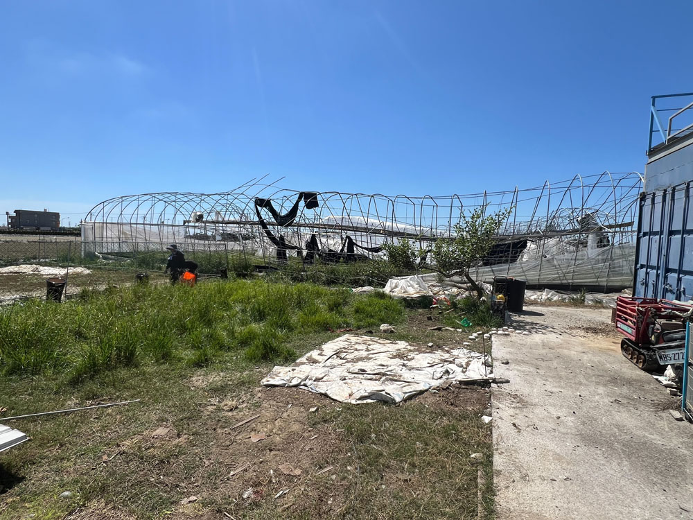 嘉義溫室拆除工程