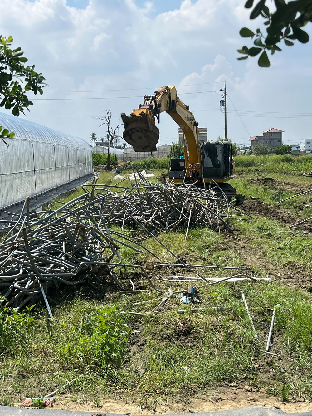 嘉義太保溫室拆除