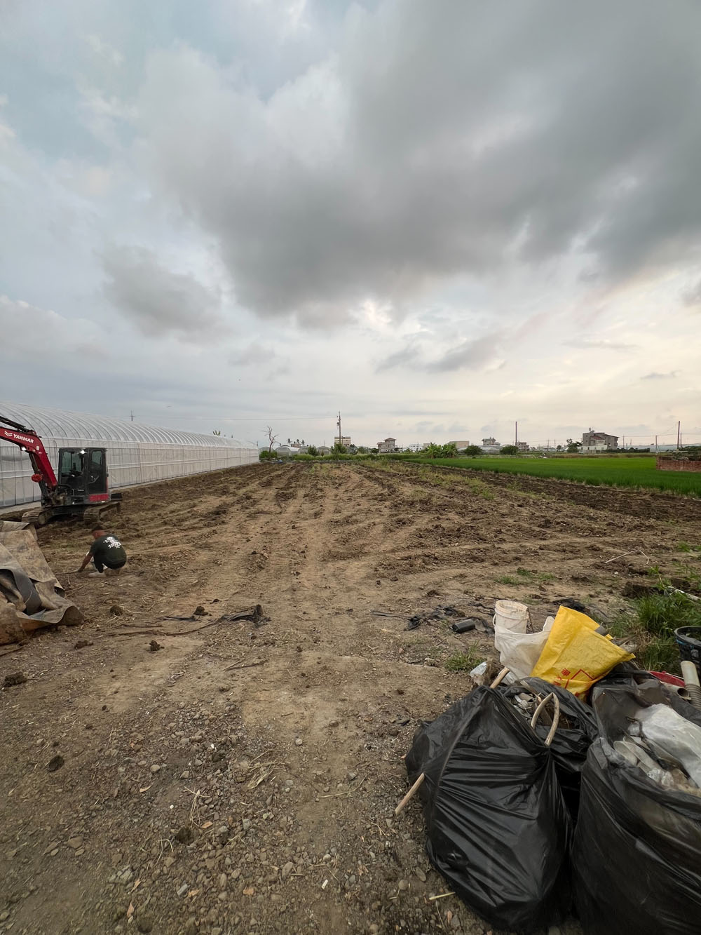 嘉義太保溫室拆除