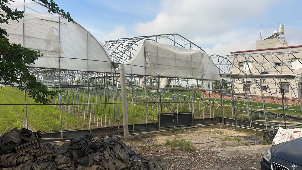 嘉義太保溫室拆除