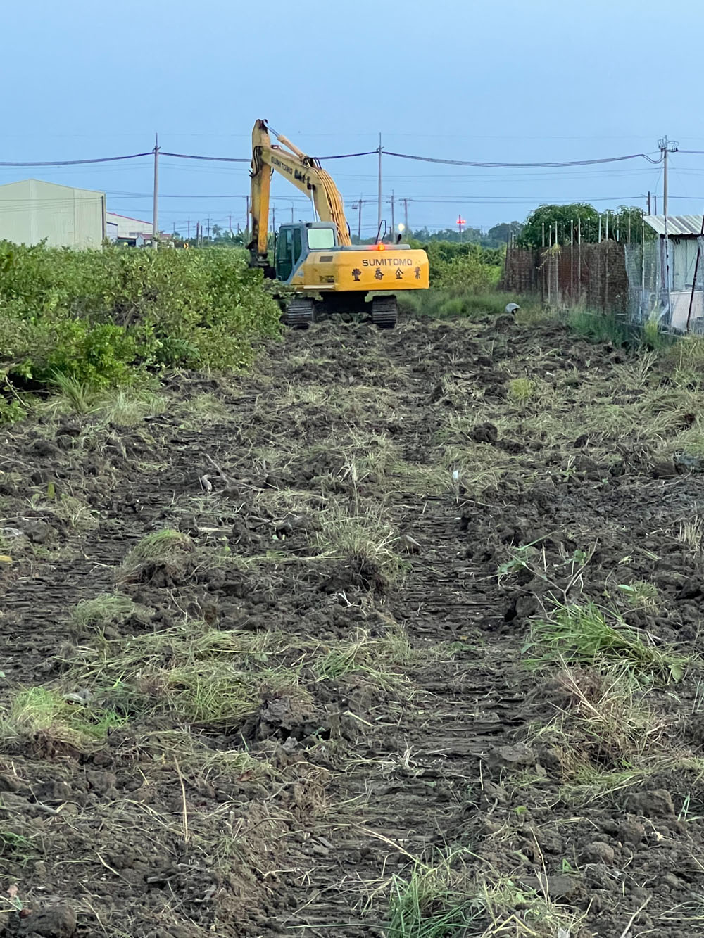 台南新營挖樹除草整地